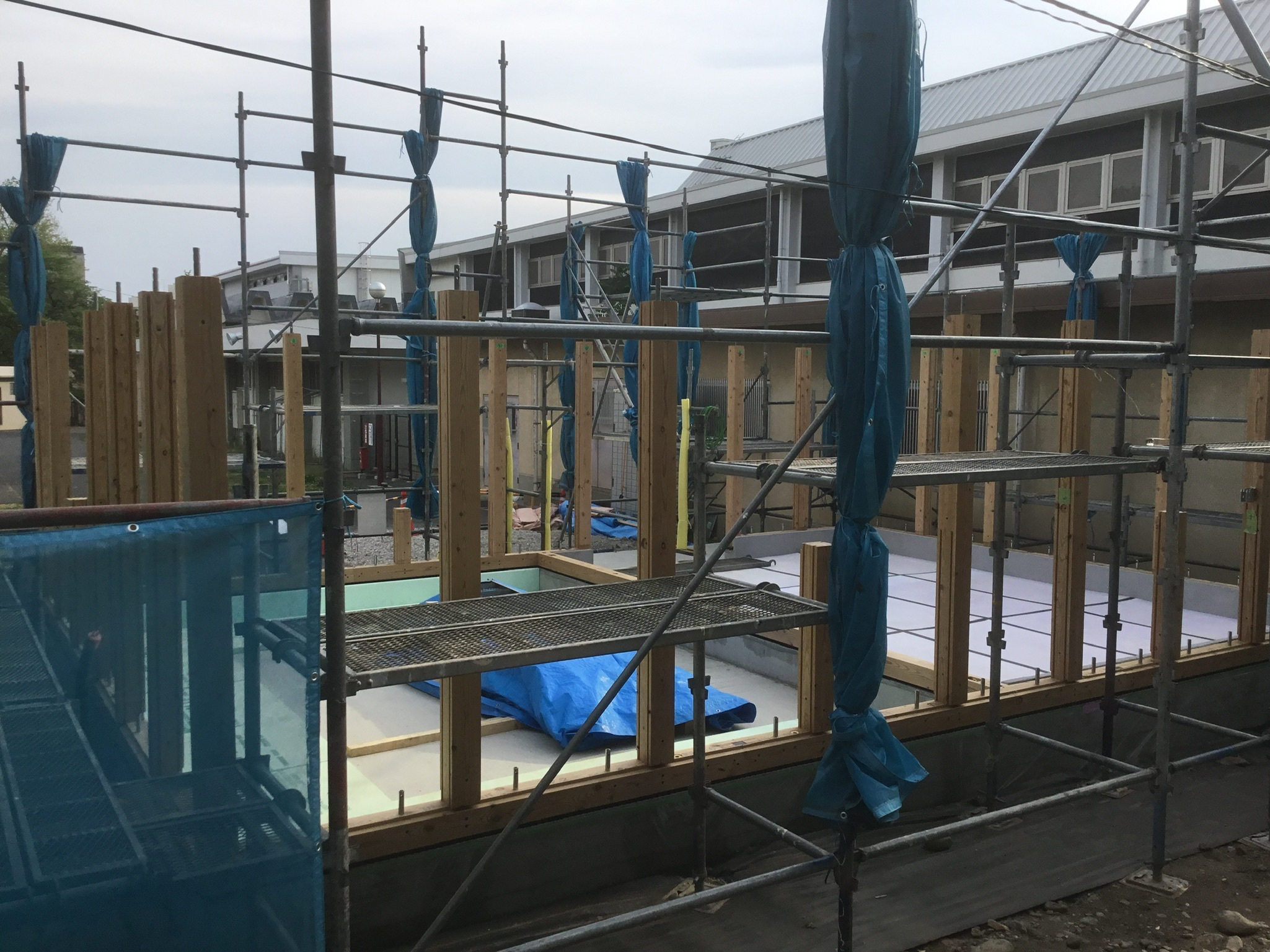 �M��R�x���